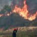 Incêndios atingem área equivalente a 84 mil campos de futebol na Europa e deixam pelo menos três mortos em Grécia e Espanha