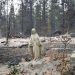Incêndios florestais destroem centenas de imóveis e deixam milhares de desalojados nos EUA