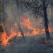 Incêndios, secas, calor extremo e fome: África sofre impacto desproporcional da crise climática e teme super El Niño