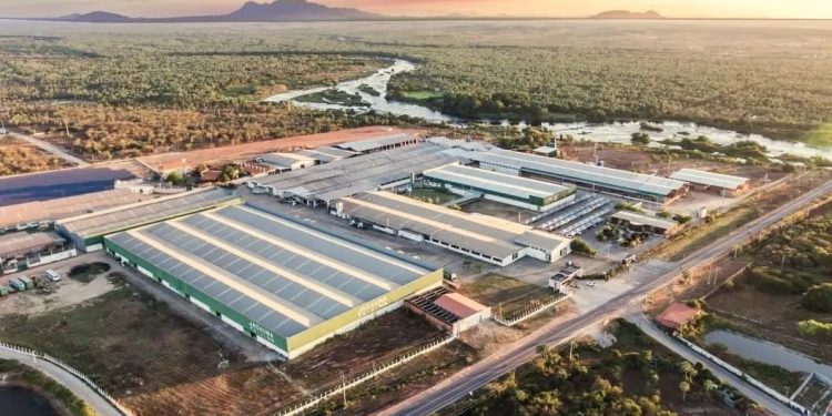 Indústria moveleira impulsiona emprego e renda em Marco