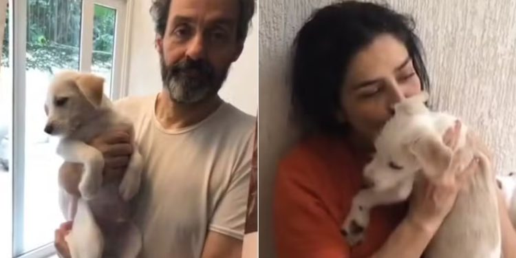 Justiça determina devolução de cachorro da atriz Letícia Sabatella, enviado para adoção por clínica