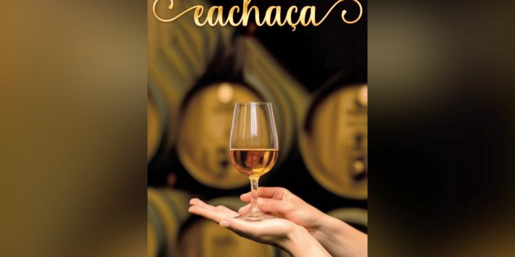 Livro 'Mulheres da Cachaça', que será lançado na Casa Firjan neste domingo, revela trajetórias femininas em torno da bebida