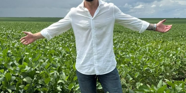 MP 1.376 cria crédito para compor dívida rural