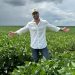 MP 1.376 cria crédito para compor dívida rural