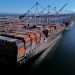MP do TCU mira expansão portuária da Maersk no Brasil