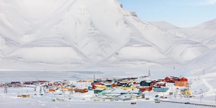 Mistério no Ártico: renas são encontradas mortas em arquipélago norueguês