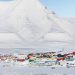 Mistério no Ártico: renas são encontradas mortas em arquipélago norueguês
