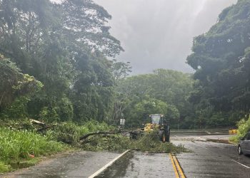 No Havaí, Ilha Grande inicia recuperação enquanto furacão Lala perde força