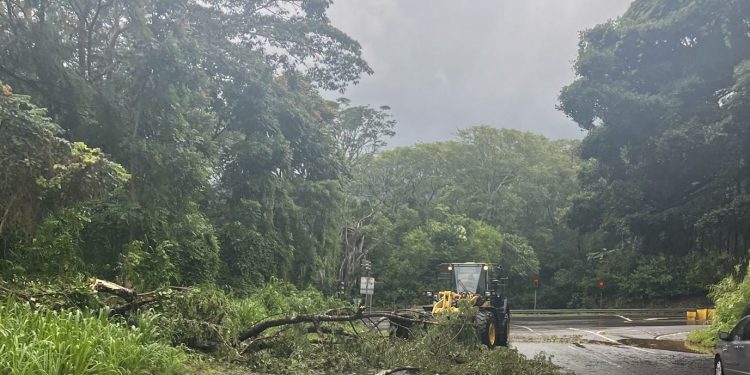 No Havaí, Ilha Grande inicia recuperação enquanto furacão Lala perde força