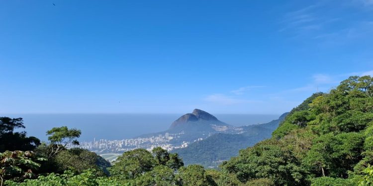 Nove áreas do Parque Nacional da Tijuca são interditadas após alerta de ventos fortes no Rio