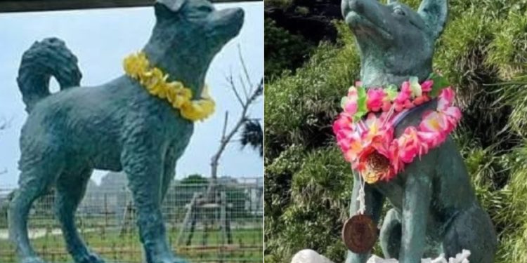 O cão que enfrentou o mar por amor: ele nadava 3 km para encontrar uma cachorrinha que vivia em outra ilha