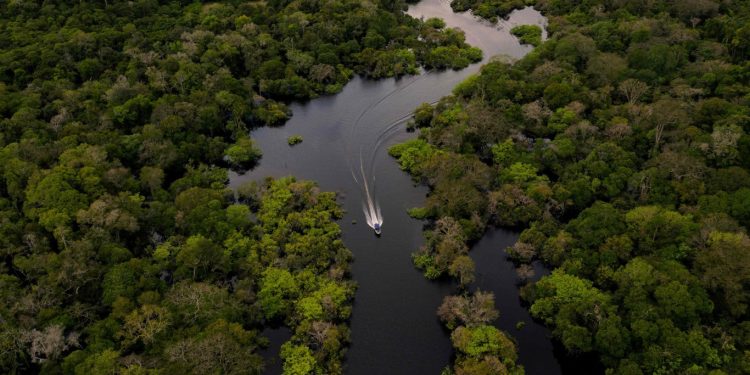 ONGs recorrem à ONU contra nova lei de licenciamento ambiental em julgamento no STF