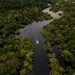 ONGs recorrem à ONU contra nova lei de licenciamento ambiental em julgamento no STF