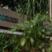 Oncoclínicas: Polícia Civil de SP indicia funcionários do Goldman Sachs por estelionato