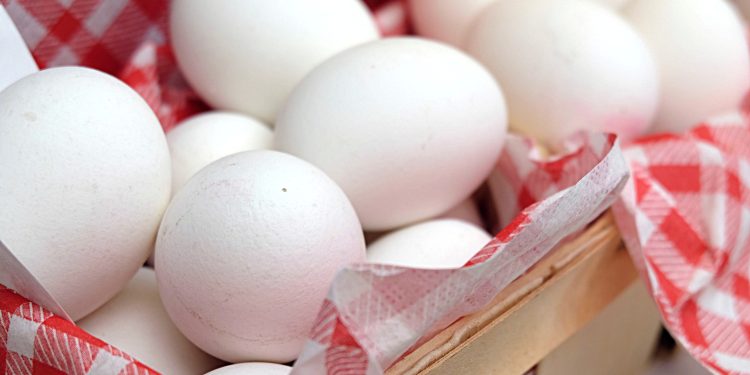 Ovos devem ser guardados na geladeira ou em temperatura ambiente? Entenda o que diz nutricionista