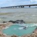 PF pede indisponibilidade de bens da Gerdau por contaminação de praia em Salvador