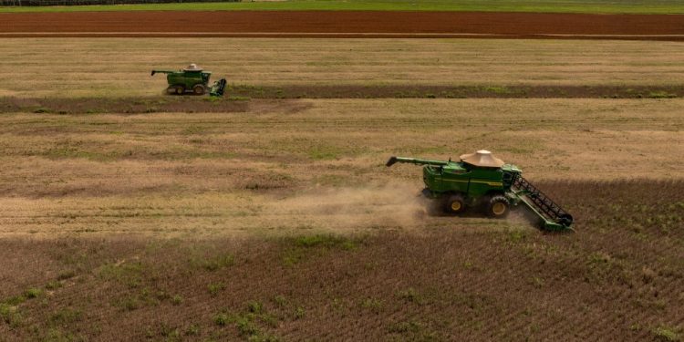 Pedidos de recuperação judicial no agronegócio sobem 21,9% no primeiro trimestre, diz Serasa Experian