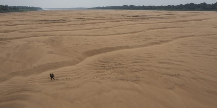 Perda de vegetação nativa para a pecuária deixa o Brasil mais exposto aos eventos extremos do El Niño, aponta MapBiomas