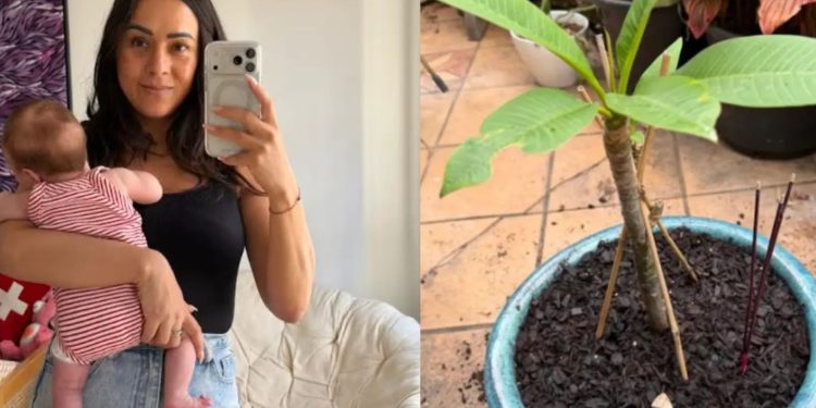 Placenta de bebê é enterrada sob planta e regada com leite materno em ritual