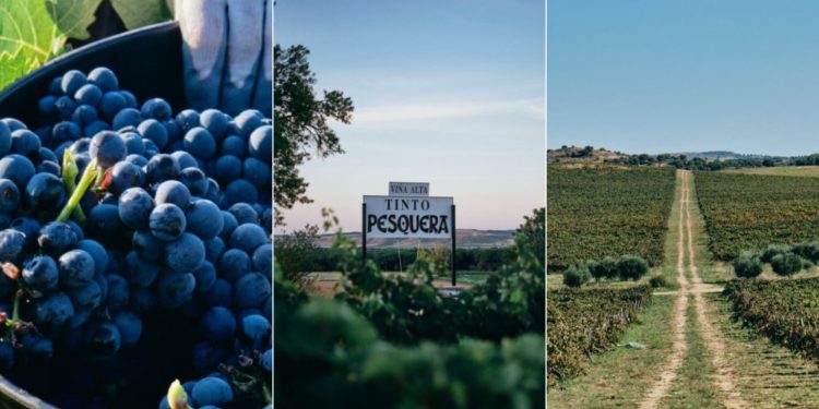 Pobre Juan terá jantares harmonizados com vinhos da Familia Fernández Rivera em três cidades