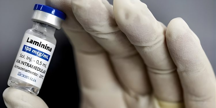 Polilaminina: pesquisadores publicam dados iniciais e esperam recrutar 1° paciente do estudo clínico em agosto