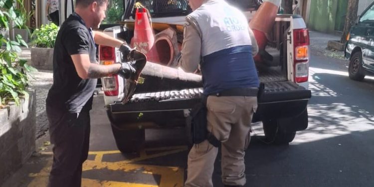 Prefeitura apreende 78 cones que faziam reserva de vagas públicas na Zona Sul