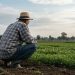 Produtor rural tem direito à prorrogação de dívida