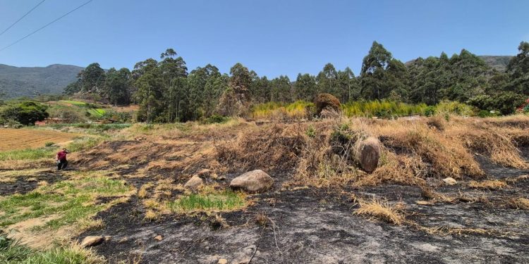 Queimadas disparam 66% no estado do Rio, que entra em 'risco muito alto' para incêndios florestais por causa do calor, seca e ventos fortes