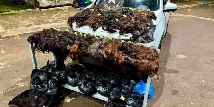 Receita Federal apreende 146 kg de cabelo humano e medicamentos escondidos em calçados em Foz do Iguaçu