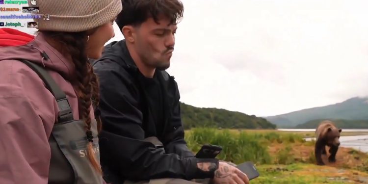 Streamers ficam 'cara a cara' com urso durante transmissão ao vivo no Alasca; veja vídeo
