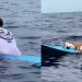 Surfista se despede do seu cachorro no meio do mar: 'Eu te amo, cabeção, vou sentir sua falta'; veja vídeo