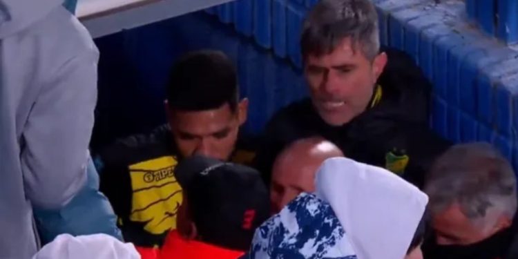 Técnicos de Vélez e Defensa y Justicia trocam socos e são separados por jogadores após jogo na Argentina; veja vídeo