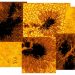 Telescópio registra redemoinhos no Sol pela primeira vez e pode representar avanços nas pesquisas; vídeo