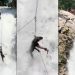 Turista fica preso em corda de rapel, dá piruetas diante de cachoeira na China e é diagnosticado com estresse agudo; vídeo