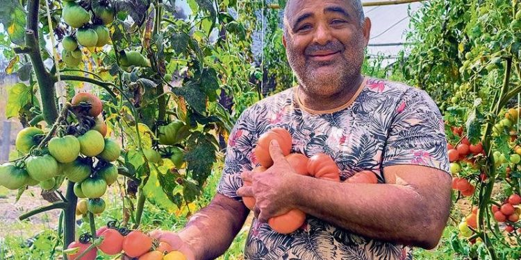Uma coleção de tomates cheia de sabor e de história