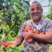 Uma coleção de tomates cheia de sabor e de história