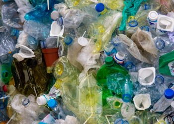 União Europeia adota novas regras contra 'químicos eternos' e embalagens plásticas par reduzir resíduos