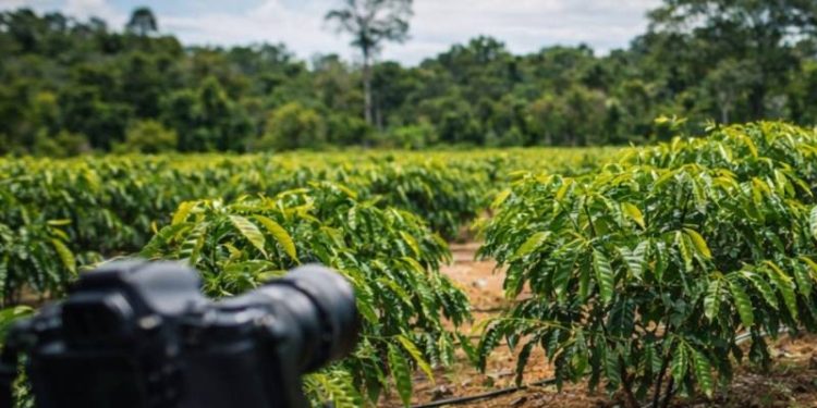 Ventos extremos e previsão de El Niño ampliam debate sobre agroecologia diante da crise climática