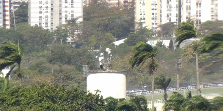 Ventos fortes no Rio: saiba para quem ligar em caso de queda de árvore, falta de luz e outras ocorrências