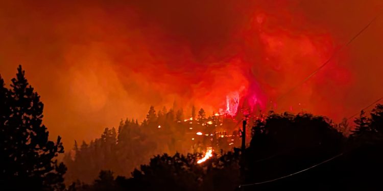 ldosa morre enquanto tentava escapar de grande incêndio florestal no Canadá