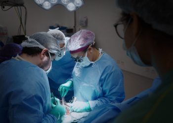 'Setembro Verde': doação de órgãos tem 45% de recusa familiar no Brasil; entenda como funciona a fila de transplantes