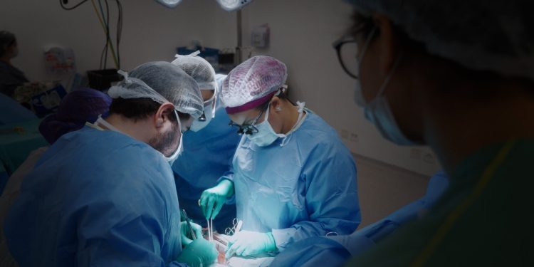 'Setembro Verde': doação de órgãos tem 45% de recusa familiar no Brasil; entenda como funciona a fila de transplantes