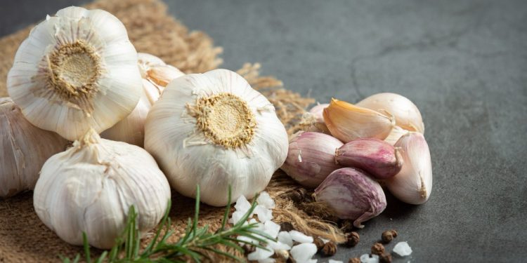 Alho: os efeitos na saúde e quem não deve consumir esse alimento