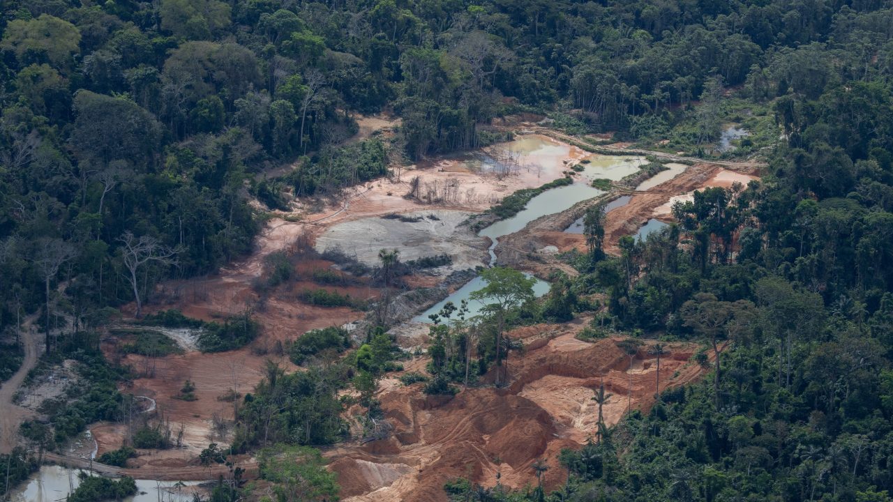Área destruída pelo garimpo em Unidades de Conservação da Amazônia cresce 16,6% em oito meses