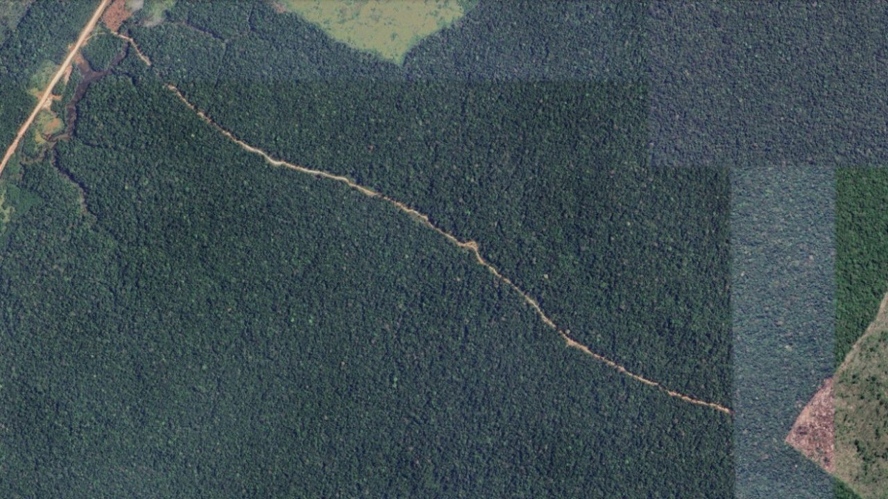 BR-319 impulsiona ocupação de área preservada na Amazônia por vias clandestinas e pelo agro, mostram imagens de satélite
