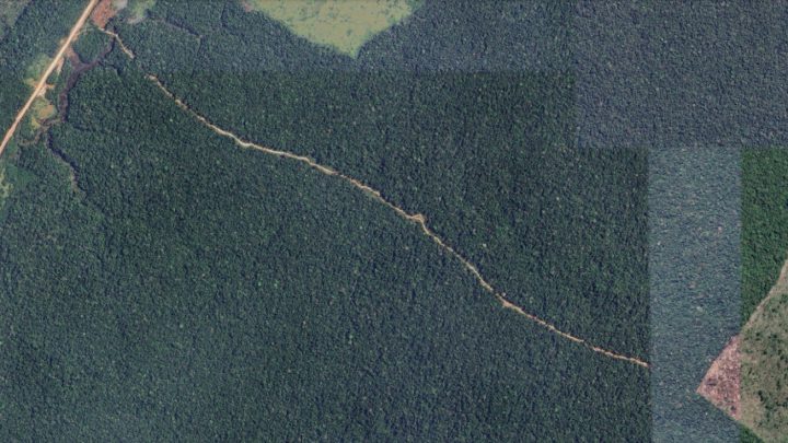 BR-319 impulsiona ocupação de área preservada na Amazônia por vias clandestinas e pelo agro, mostram imagens de satélite