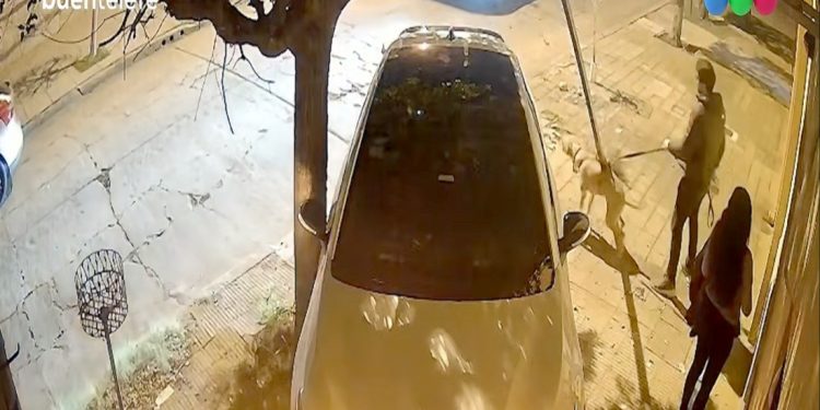 Cachorro alerta casal sobre aproximação de criminosos armados e evita assalto na Argentina; veja vídeo
