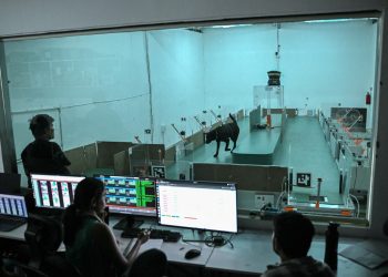 Cães são treinados com inteligência artificial para detectar câncer pelo hálito na Índia
