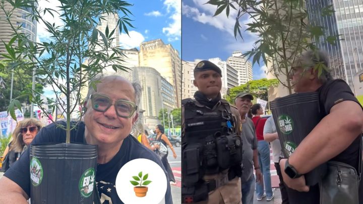 Candidato a deputado federal leva pé de maconha ao Centro de BH, e PM recolhe a planta