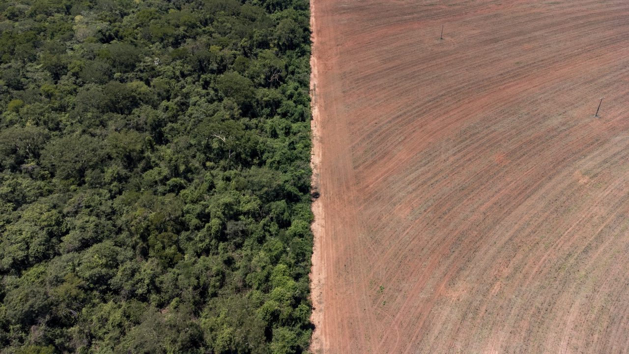 Crise climática e ambiental é ignorada nos planos de governo de quase todos candidatos ao Planalto, aponta Observatório
